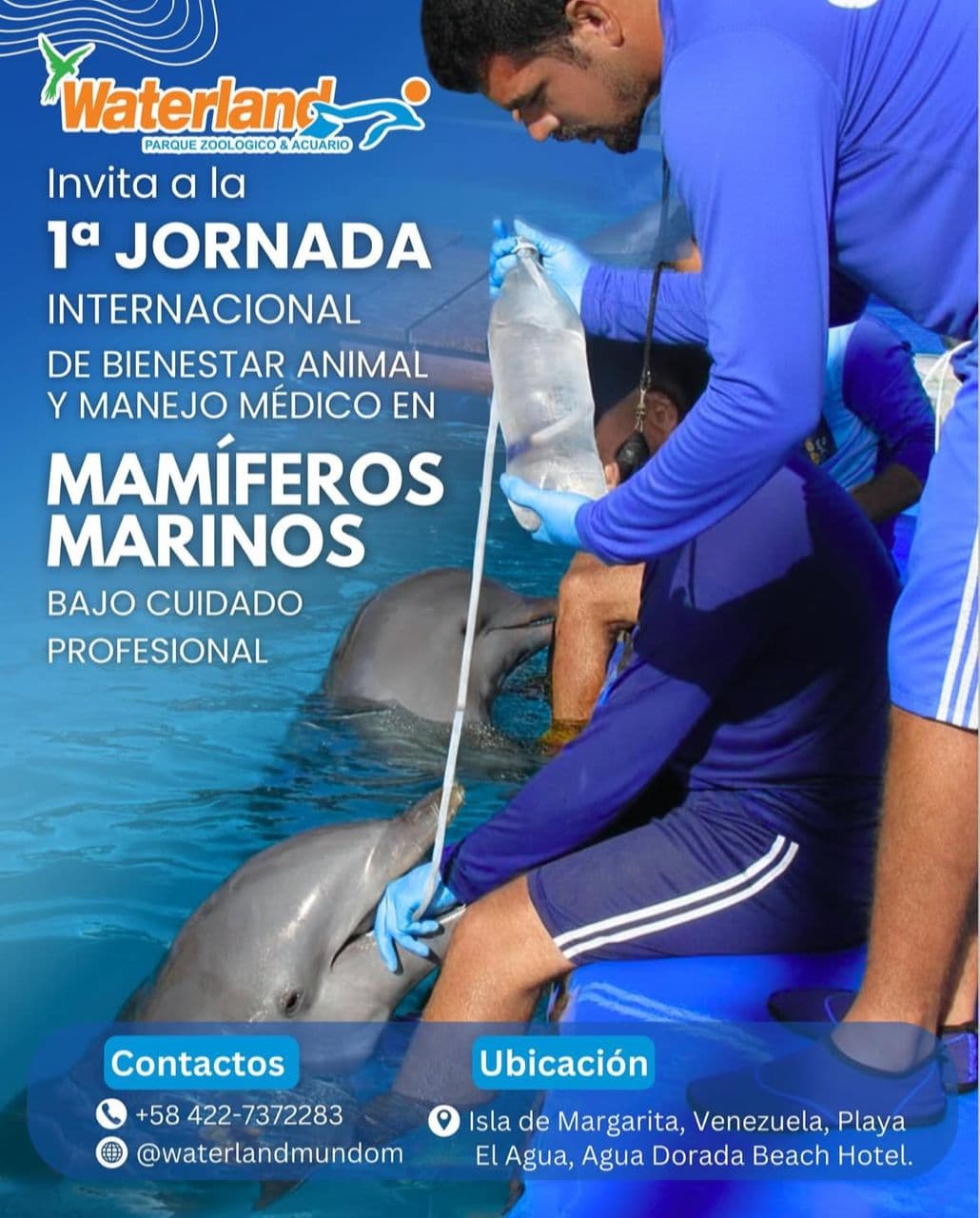 1ra Jornada Internacional de Bienestar Animal y Manejo Médico en Mamíferos Marinos